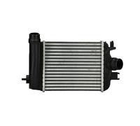 NISSENS 961363 Intercooler