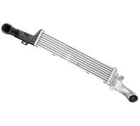 NISSENS 96861 Intercooler