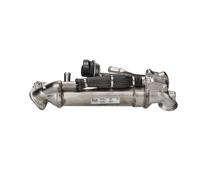 Exhaust gas cooler Steel 989576 NISSENS for FORD RANGER