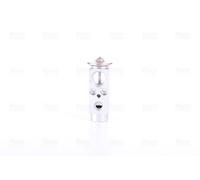 NISSENS Aircon Expansion Valve 999321 for MERCEDES-BENZ ACTROS-SERIES (2003) ACT