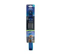 Nite Ize NiteDog Rechargeable LED collar, USB Rechargeable Light Up Dog collar wMetal Buckle, Water Resistant, Small, Blue