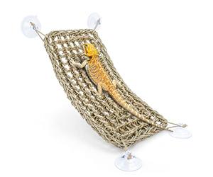 Niteangel Bearded Dragon Hammock Reptile Lounger for Chameleon, Lizards, Gecko, Snakes, Lguana Reptiles, Geckos