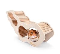 Niteangel Hamster House w/Climbing Ladder for Hamsters Gerbils Mice or Similar-Sized Pets (Secret Peep Tunnel Hamster Hut)