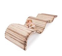 Niteangel Small Animal Climbing Toys - Suspension Bridge Ladder for Hamsters Gerbils Mice Rats Guinea Pigs or Other Small Pets (23.6'' x 7.8'')