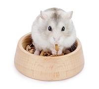 Niteangel Wooden Hamster Feeding Bowl - Small Animal Food Dish for Dwarf Syrian Hamsters Gerbils Mice Degus or Other Similar-Sized Small Pets (Hammy Pattern, for Dwarf), Beige