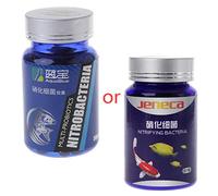Nitrifying Establish Nitrification Remove Odors Extend Water Exchange Period Decompose Supplies Bearded Dragon