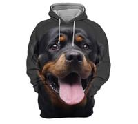 NITRY Men Hoodies 3D Digital Printing Hooded Pullover Hip Hop Retro Personality Trend Long Sleeved Sweatshirt FF-06 XXL