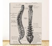 NIUBB Canvas Prints Artwork Art print Images Retro human anatomy diagram Pictures Printed on Canvas Wall Art for Home Family Wall Living Room Art Wall Decor No Frame 12x16