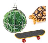 Niuohoy Tortoise Treat Ball and Mini Turtle Skateboard Set, Training Skateboard Toy & Tortoise Treat Ball Hanging Feeding Turtle Tank Accessories for Pet Turtle Tortoises Small Animals