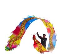 NIUSABOU Outdoor Exercise Dance Dragon, Dragon And Lion Dance 3D Head Silk Ribbon Multicolor 6-10m(C,6m/20f)