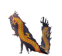 NIUSABOU Outdoor Exercise Dance Dragon, Dragon And Lion Dance 3D Head Silk Ribbon Multicolor 6-10m(E,6m/20f)