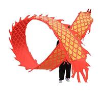 NIUSABOU Outdoor Exercise Dance Dragon, Silk Dragon Dance With Rope And Travel Bag Sizes 6-12m(A,6m/19.7ft)