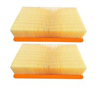 Niuzemyko 2X Vacuum Cleaner Flat Pleated Filter Compatible with Flex S36, S36M, S47, S47M, VCE 35, VCE 35 L MC, VCE 35 L AC, VCE 45 H AC, VCE 45 M AC