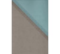 NIV Application Bible, Leathersoft, Teal/Grey, Red Letter, Comfort Print: Bringing the Ancient Message of the Bible Into Your World (NIV Application Commentary Resources)
