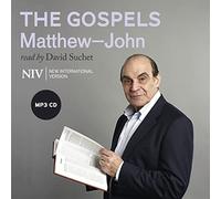 NIV Bible: the Gospels: Matthew-John (New International Version)