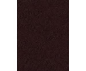 NIV, Maxwell Leadership Bible, 3rd Edition, Premium Bonded Leather, Burgundy, Co