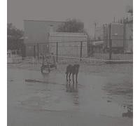 Nivhek - After Its Own Death / Walking In A Spiral Towards The House [VINYL]