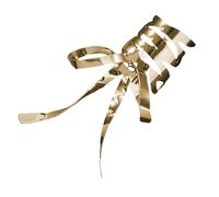 Nixiara Seamless Hair Clips, Retro Bowknot Clips | BEGIN Barrette Metal Bowknot Bowntot Clips - Fashion Ponytail for Women Hairpin for Birthday Year