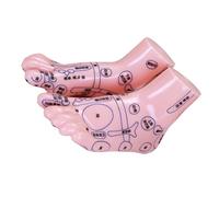 NIYANGLE 1pair Human Foot Reflexology Model Durable Foot Simulation Display for Tcm Education Acupuncture Training and Massage Practice for Schools and Clinics