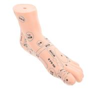 NIYANGLE 1pc Foot Teaching Model Realistic Single Foot Reflexology Model for Physiological Education for Nursing and Health Schools