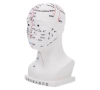 NIYANGLE 20CM White Head Acupuncture Model with Four Functional Acupoints Facial Massage Head Model for Traditional Chinese Medicine Teaching in Medical and Therapy Practice