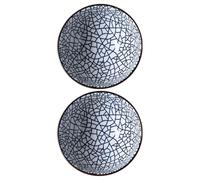 NIYANGLE 2pcs Cracks Style Ceramic Dinner Bowl Set Japanese Tableware