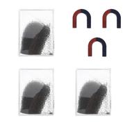 NIYANGLE 3 Sets Iron Filings Magnetic Field Demonstration Kit with Horseshoe Magnets Iron Powder Boxes for Physics Teaching Safe Electromagnetism Experiment Tool for Science Education and