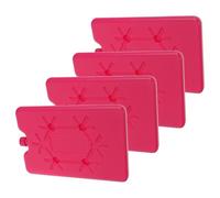NIYANGLE 4pcs Reusable Ice Packs for Air Conditioner Fan with 200ml Capacity, Pe Material, Refreezable Rapid Cooling Cold Packs for Food and Drinks, for Beach and Cooler Use