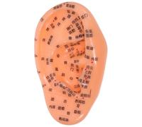 NIYANGLE Acupuncture Ear Model for Reflexology Learning and Practice, PVC Material Easy Identification of Acupuncture Points, Versatile Use as Reference Model in Clinical Practice