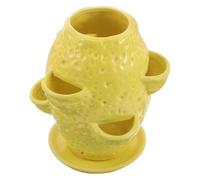 NIYANGLE Asian Flower Pots Ceramic Planter with Multiple Openings and Saucer, Elegant Yellow Pot for Orchids and Succulents Indoor Use