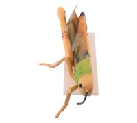 NIYANGLE Detachable Grasshopper Classroom Model for Science Exhibits and Biology Labs, Pvc Insect Model with Removable Structure, for Entomology Teachers and Science Instructors