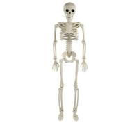 NIYANGLE Realistic 60cm Halloween Skeleton Prop with Flexible Joints, White Plastic Humanoid Frame for Haunted House and Escape Room Games Decoration