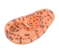 NIYANGLE Realistic Ear Acupuncture Model with Chinese Markings for Teaching and Massage Human Body Reflexology Practice Kit for Skill Development