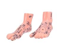NIYANGLE Realistic Foot Acupoint Model Foot Spa Massager for Pain Relief Educational Teaching Tool