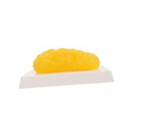 NIYANGLE Realistic Human Body Fat Model for Anatomy Study and Weight Loss Motivation Demonstration Model for Nutrition Courses and Health Education