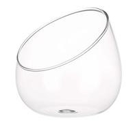 NIYANGLE Slant Cut Glass Terrarium Bowl for Succulents and Moss, High Borosilicate Bubble Vase, Versatile Low Maintenance Plant Container for Home Display and Window Sills