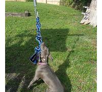 niyin204 Spring Pole Dog Rope Toys With A Big Spring Pole Kit,Rope Tug Of War Toys For Medium Or Large Dogs, Outdoor Hanging Exercise Play Tug War, Extra Durable, Safe