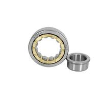 NJ315 316 317 318 319 320 321 322 324 326 328em Cylindrical Roller Bearing 1Pcs(NJ326)