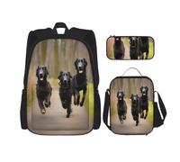 njkhbolk Trotting Flat Coated Retrievers Paw Print 3 In 1 Backpack Set With Lunch Bag And Pencil Case,Suitable Work,Picnic,Travel, Black, One Size
