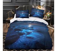 NJOFERDIN 3D Design Printed 3 Pcs Bedding Set Room Decor Zipper Ultra Soft Night Beach Glow Quilt Cover Breathable Durable for Teens,Kids,Youth Ocean Night Duvet Cover Super king（260x220cm）