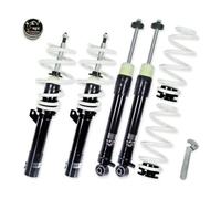 NJT eXtrem coilovers hardness adjustable suitable for Audi A3 8P Sportback and