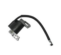 NKCVEZBW Compatible With IGNITION COIL Compatible With 797040 130329 DOV SERIES 700 750 ENGINE IGNITER MAGNETO STATOR IGNITOR MODULE T