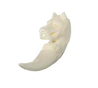 NKlaus Hair Jewellery Beard Bead VUKAR Wolf Tooth Bone Curling Bead 6422