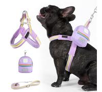 Nkmifeg Harness and Lead for Small Dogs - Adjustable Harness and Strap, Storage Bag Included Anti-Rotation Accessory for Walking in the City Beach Hiking Park Garden