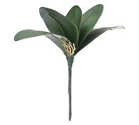 NLDGR Home Decor Orchid Leaves Artificial Phalaenopsis Leaf, Butterfly Orchid Leaf Plastic Fake Flowers Green Leaves, Orchid Leaf for Flowers Arrangements Pot Decor Artificial Plants(#1)
