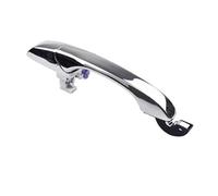 NLNGNZBZTP Outer Handle Driver & Passenger Exterior Door Handle for Chrysler 300/300c, Seb4589009AG(Front Right)