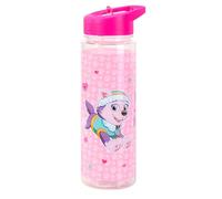 NMB FASHION Paw Patrol Skye & Husky 650ml Kids Water Bottles with Straw, Back to School Supplies Girls Water Bottle - Frozen Water Bottle For Girls Pink (Paw Patrol Skye & Husky)