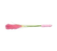 NMFLAB Teasing Toy Interactive Tail Grass Dog Long Poles Teasing Stick Bites Resistant Cats Sound Toy Pet Supply Grass Styles Cats Teaser Rod