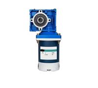 NMRV30 12V/24V 60W DC Worm Gear Motor With Dual Output Shaft RV30 Adjustable-speed CW CCW High Torque Motor(105rpm,12V)
