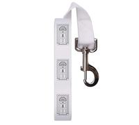 'No. 10 Downing Street Door' Dog Lead/Leash (DL00018616)
